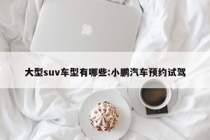 大型suv车型有哪些:小鹏汽车预约试驾