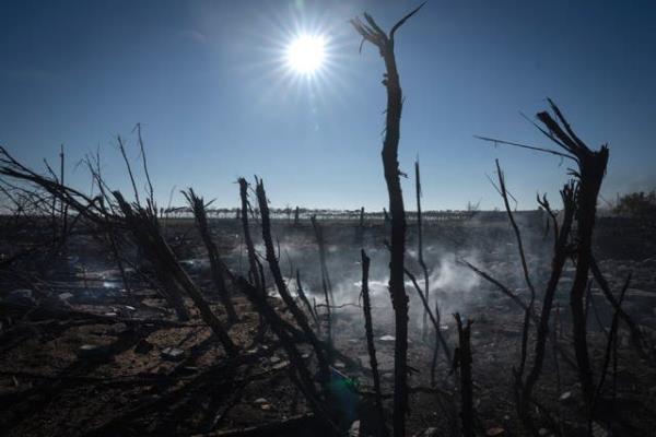 Russia Ukraine War
