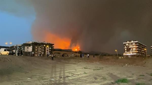 Wildfire briefly halts marine traffic on Çanakkale strait
